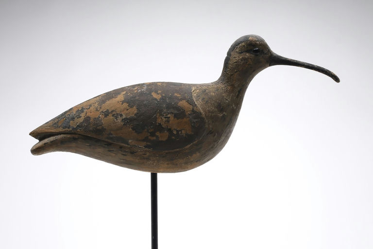 Reggie Birch – Curlew – 2025