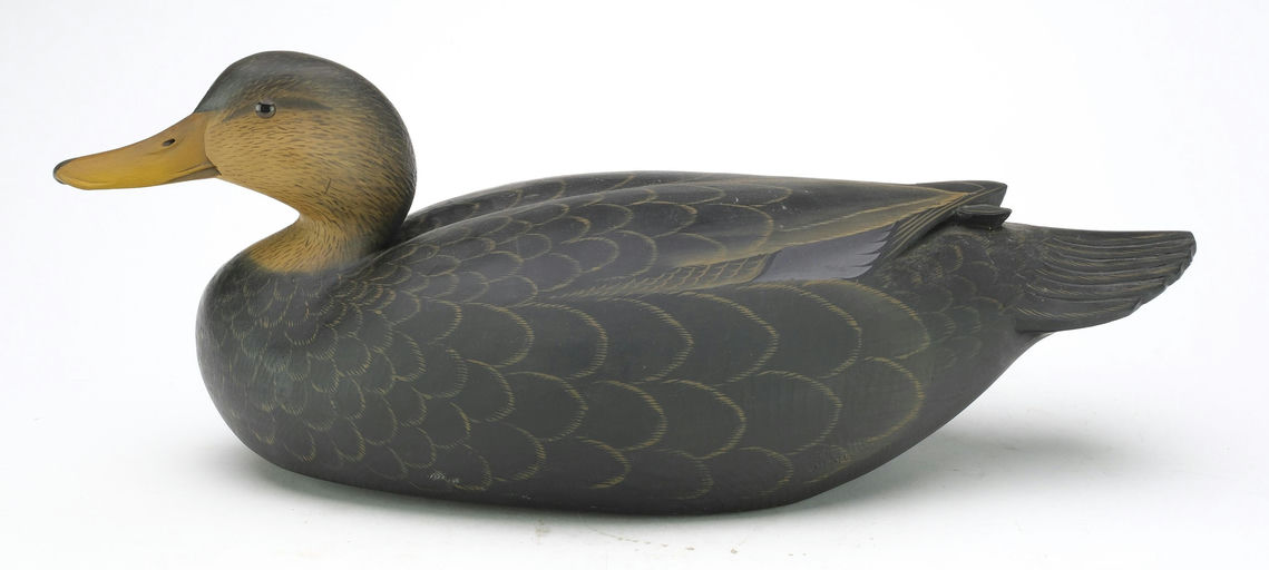 George Strunk – Black Duck – 2024