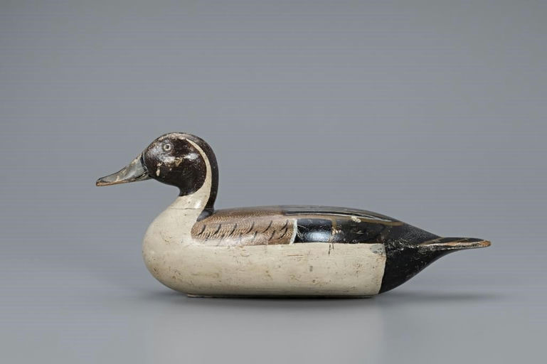 The McKenzie Brothers – Rare Pintail Drake – 2019