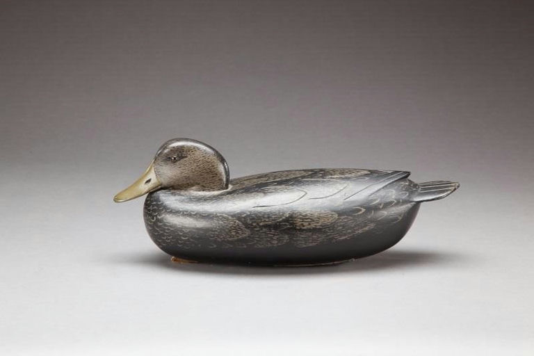Dan English – Black Duck – 2013