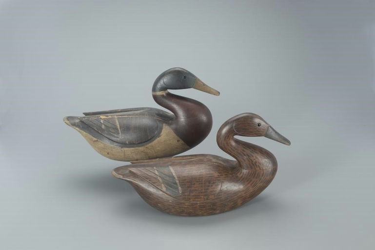 Cameron McIntyre – Caines Brothers Mallard Pair – 2022