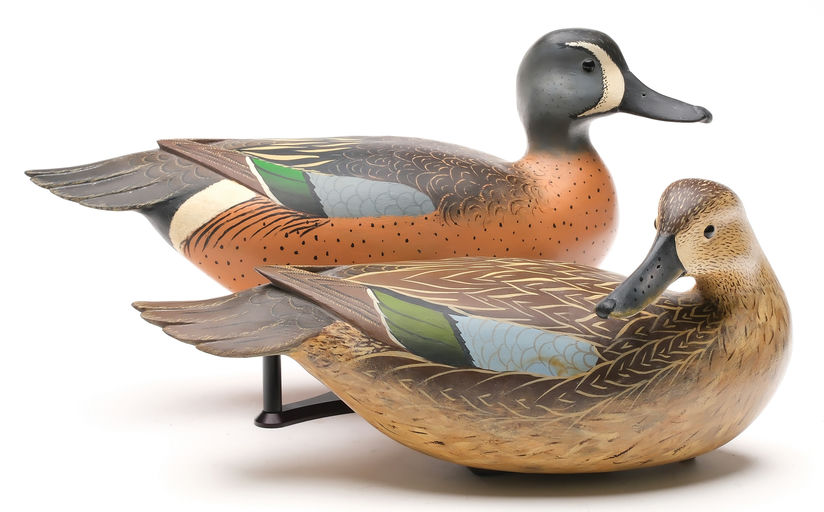 Bob White – Pair of Preening Blue-winged Teal – 2026