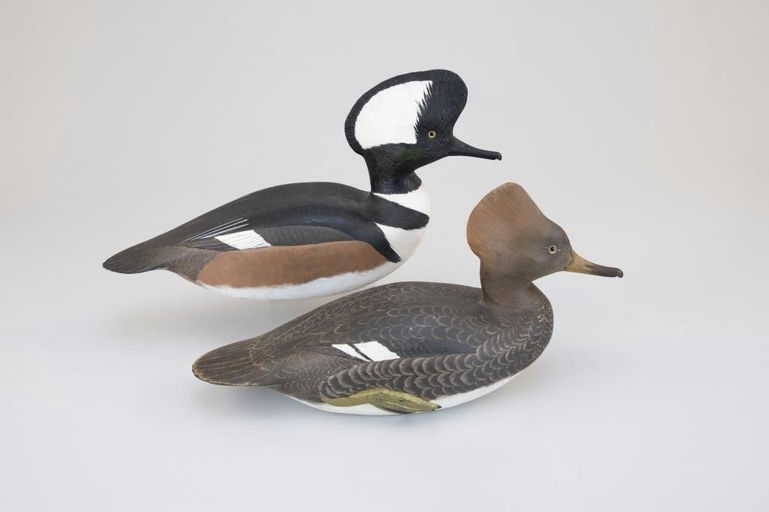 Corb Reed – Hooded Merganser Pair – 2026