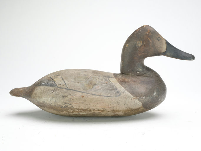 William Heverin – Canvasback Hen – 2023