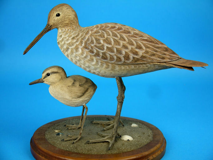 Harry McChesney – Willet and Chick – 2026