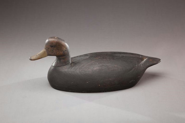 Thomas Gelston – Black Duck – 2012
