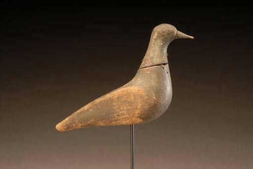 Coffin Family – Turned-Head Golden Plover – 2007