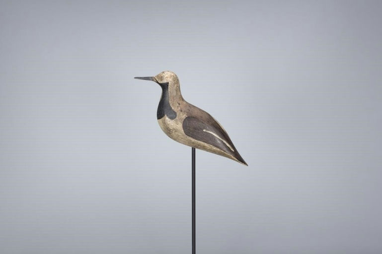 John McAnney – Ruddy Turnstone – 2017