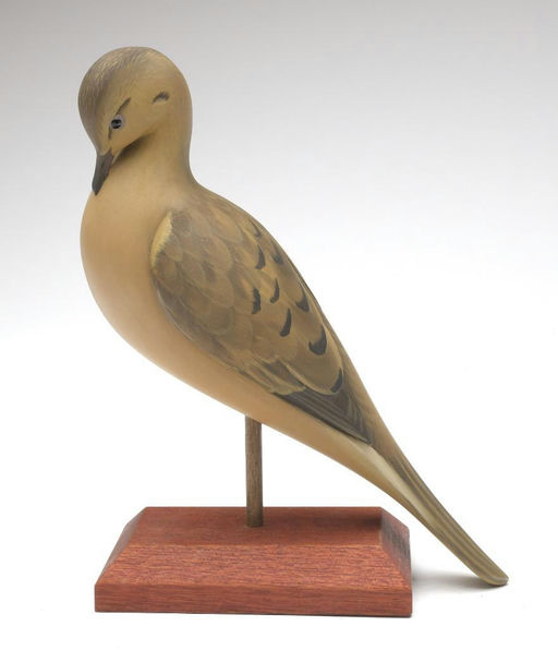 George Strunk – Preening Dove – 2023