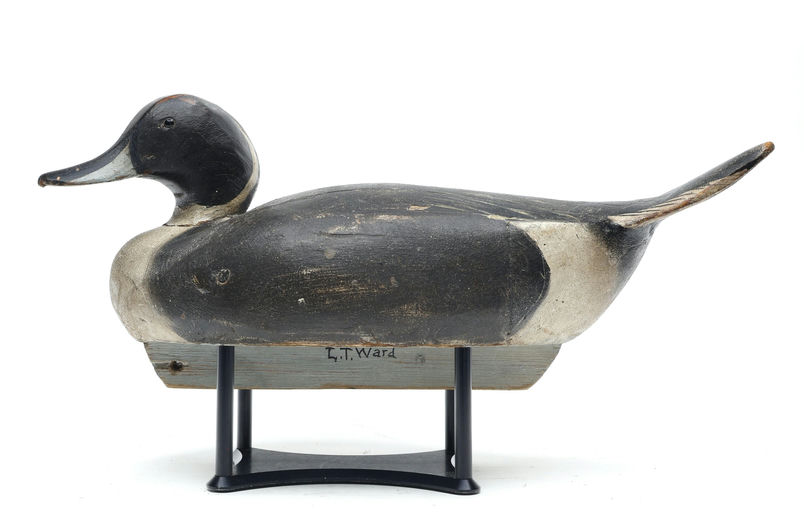 Ward Brothers – Pintail – 2026