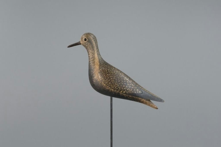 Mark McNair – Golden Plover – 2025