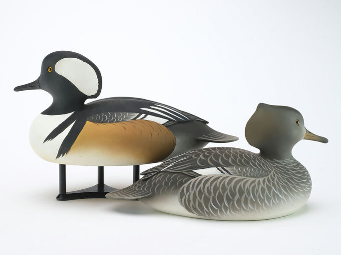 Oliver Lawson – Pair of Hooded Merganser – 2024