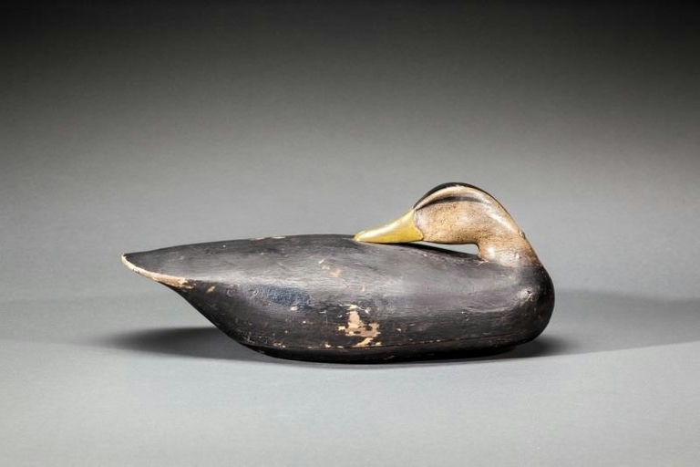 Joel Barber – Preening Black Duck – 2015