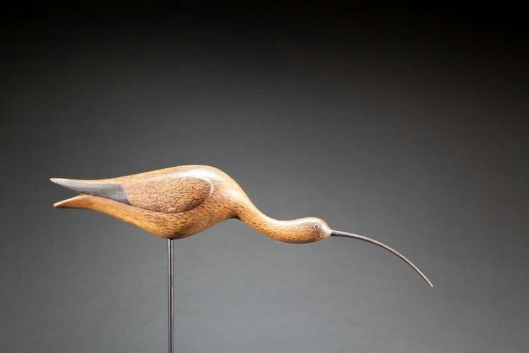 Mark McNair – Running Curlew – 2015