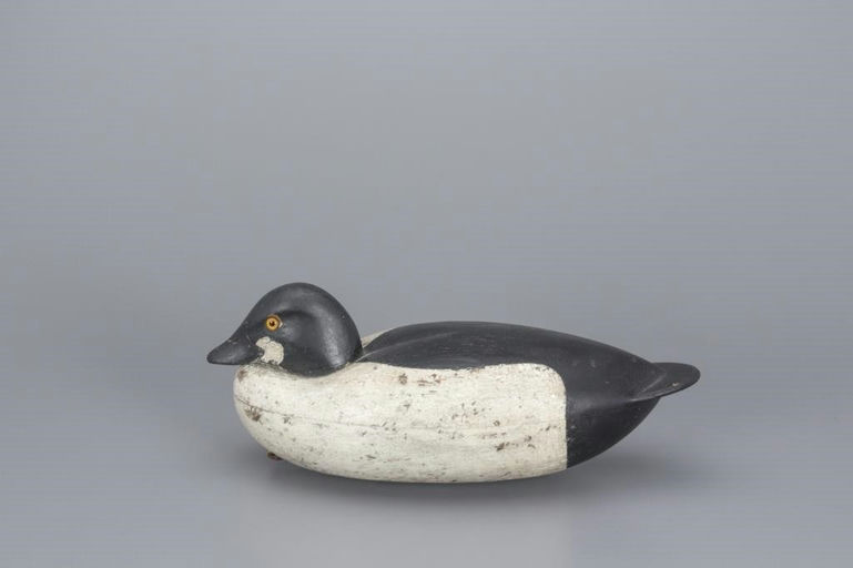 Albert Laing – Early Tucked-Head Goldeneye Drake – 2017