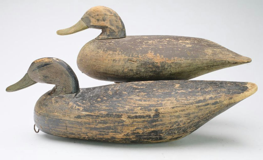 Doug Jester – Black Duck – 2024