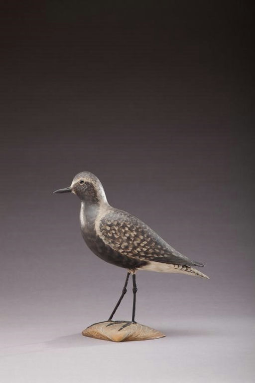 Elmer Crowell – Important Black-Bellied Plover – 2012
