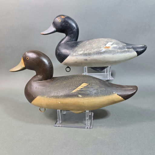 Charlie Joiner – Scaup – 2026