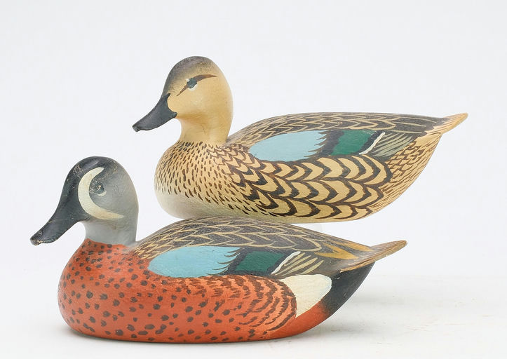 Oliver Lawson – Pair of Blue-winged Teal – 2024
