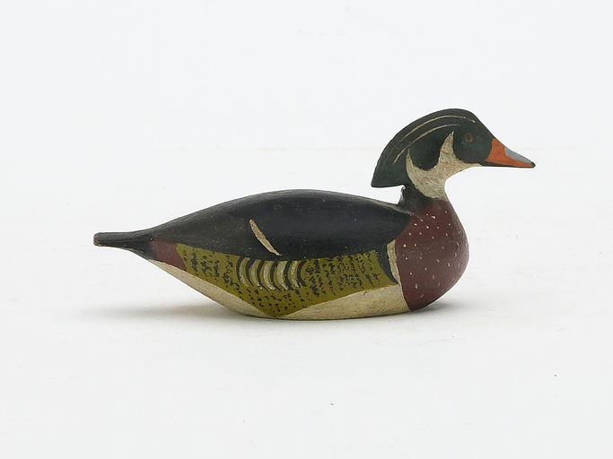 Joseph Lincoln – Wood Duck – 2024