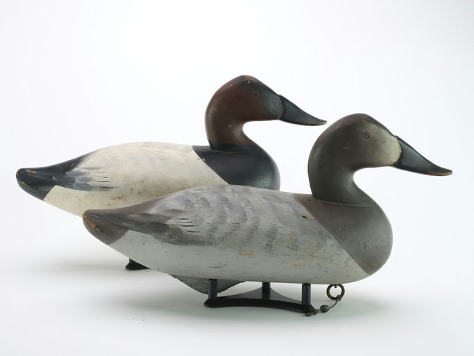 Charlie Joiner – Pair of Canvasbacks – 2024