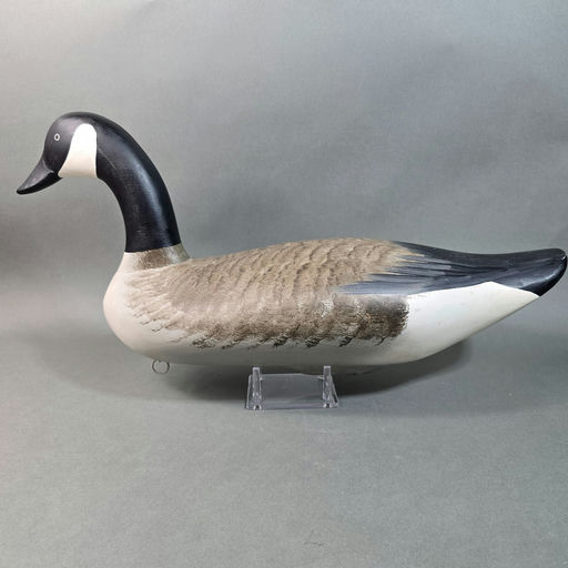 Charlie Joiner – Canada goose – 2026