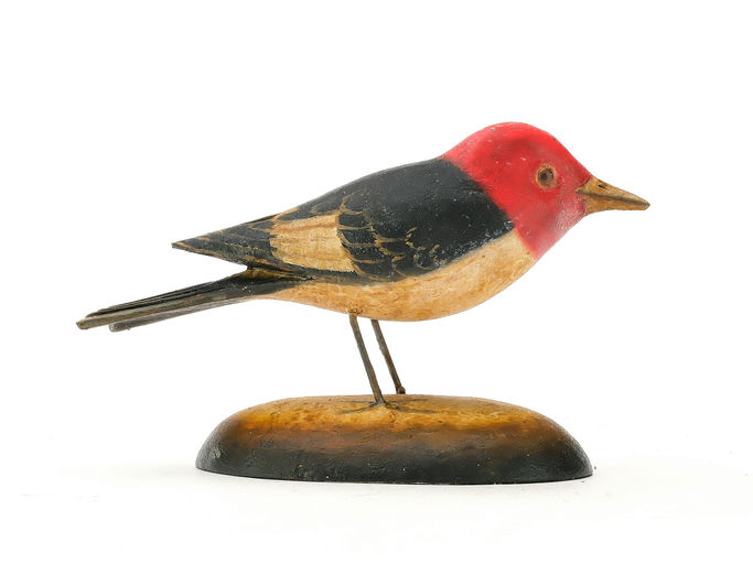 Frank Finney – Miniature red headed woodpecker – 2025