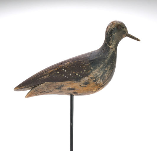 Joseph Lincoln – Plover – 2024