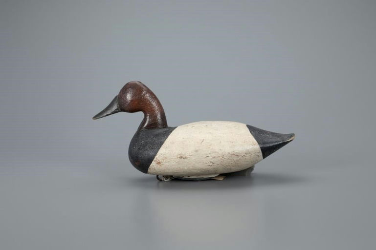 John Weeks – High-head Canvasback Drake – 2020