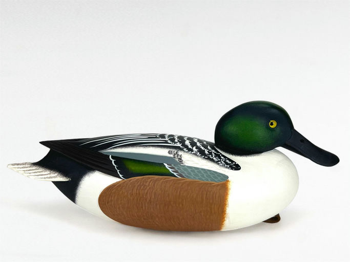 Rick Brown – Shoveler Drake – 2024