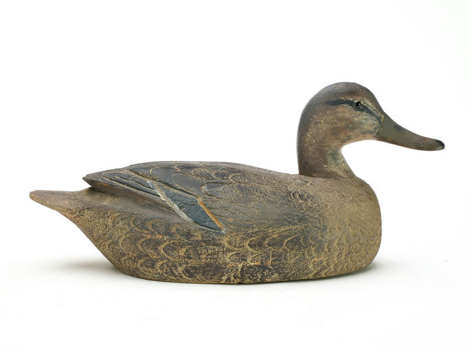 Ben Schmidt – Pintail Hen – 2025