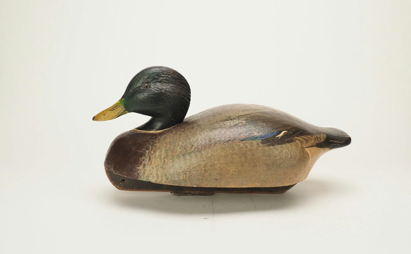 Ken Harris – Mallard Drake – 2024