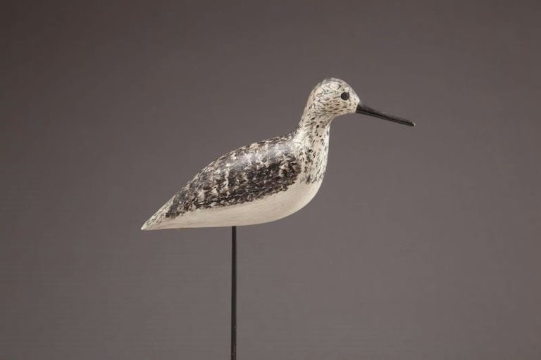 Harry V. Shourds – Yellowlegs – 2012