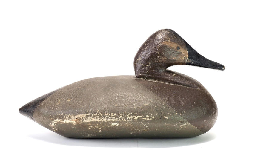 Walter Sellers — Canvasback Hen Nelson Manning Rig