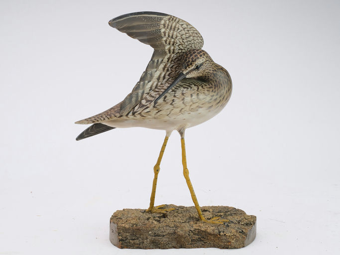 Elmer Crowell – Preening Lesser Yellowlegs – 2024
