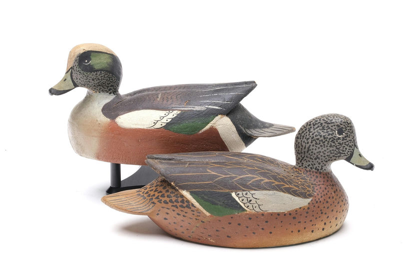 Ward Brothers – Pair of wigeons – 2026