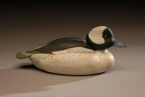 Dan Brown – Bufflehead Drake – 2007
