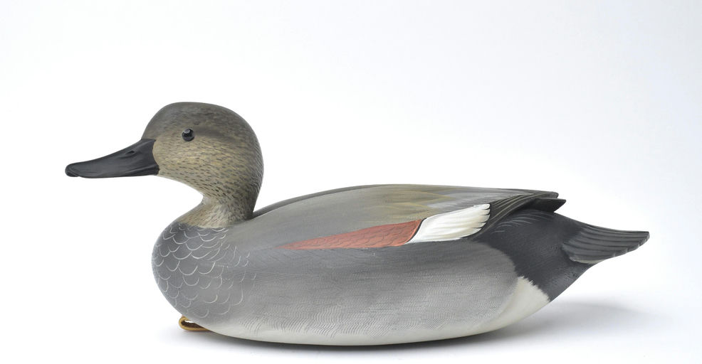 George Strunk – Gadwall – 2025