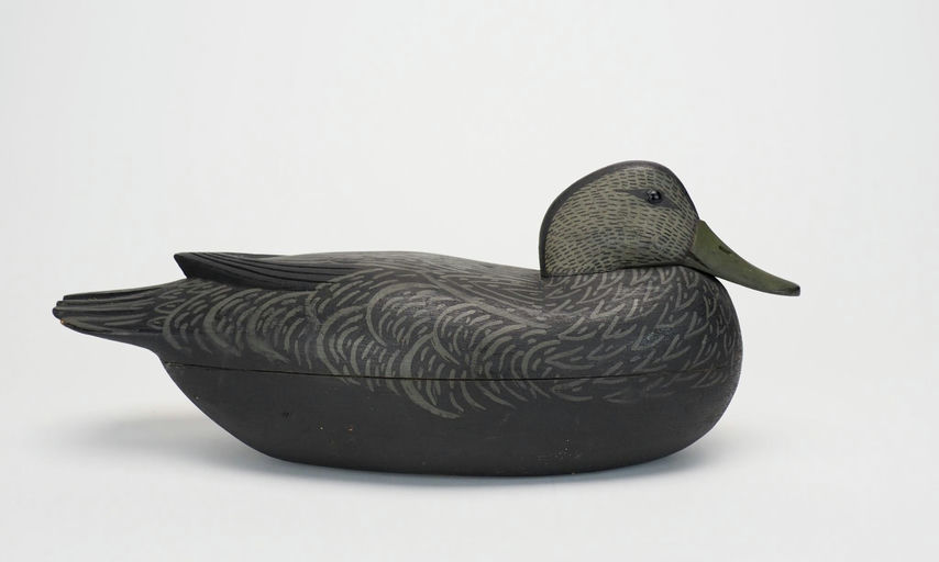 Tom Fitzpatrick — Black Duck