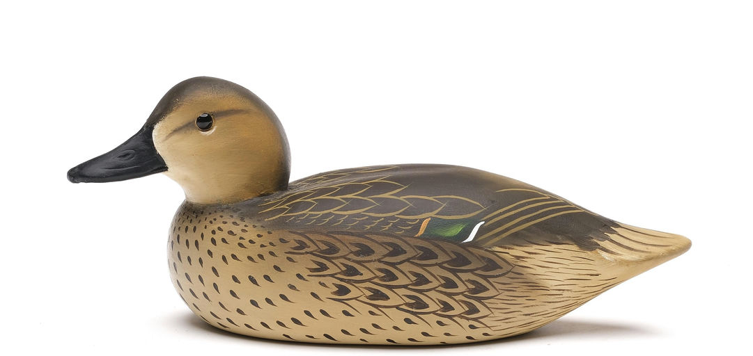 Charlie Joiner – Green-winged Teal – 2026