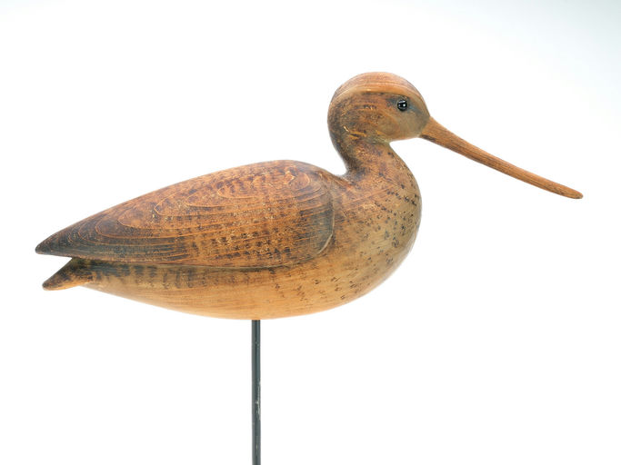 Mark McNair – Godwit – 2025