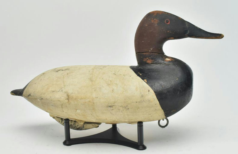 William Heverin – Canvasback – 2023