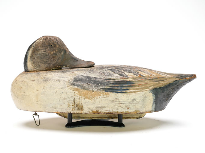 Ben Schmidt – Preening Pintail – 2025