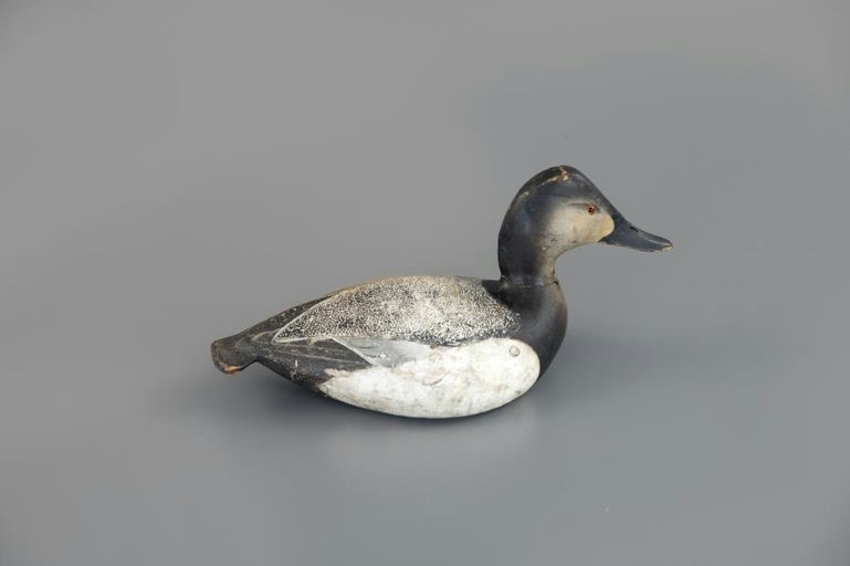 Ward Brothers – Martin-Rig Canvasback Hen – 2025