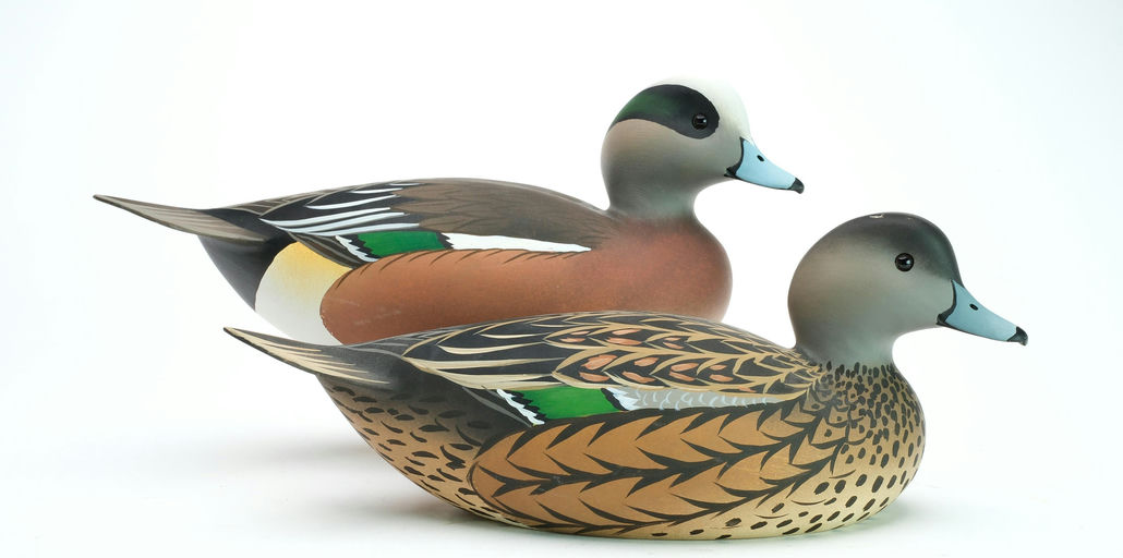 Oliver Lawson – Pair of Wigeon – 2025