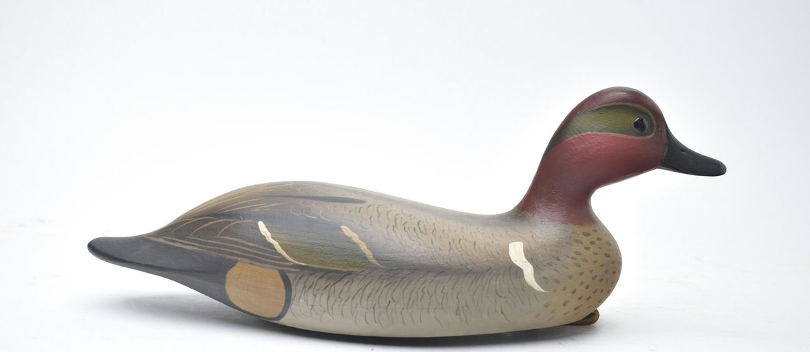 George Strunk – Green-winged Teal – 2025