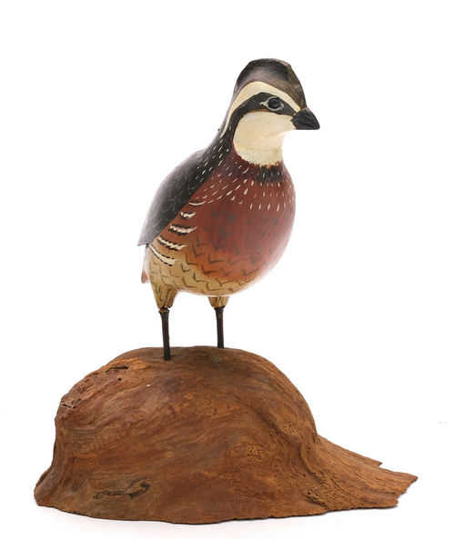Harry V. Shourds – Quail – 2024