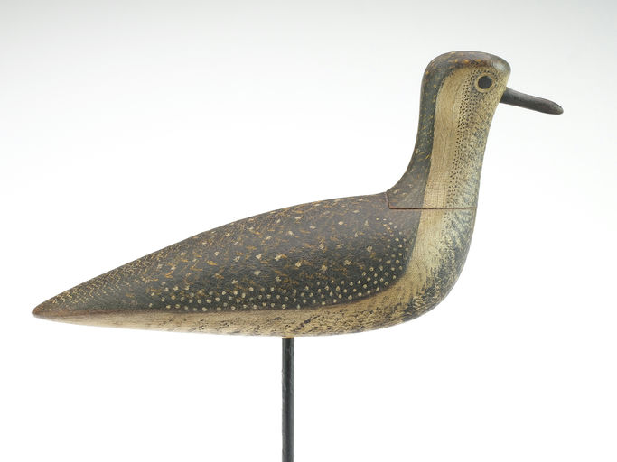 Mark McNair – Slot neck Golden plover – 2024