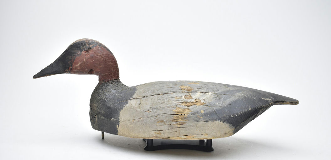 Lloyd Tyler – Canvasback – 2025