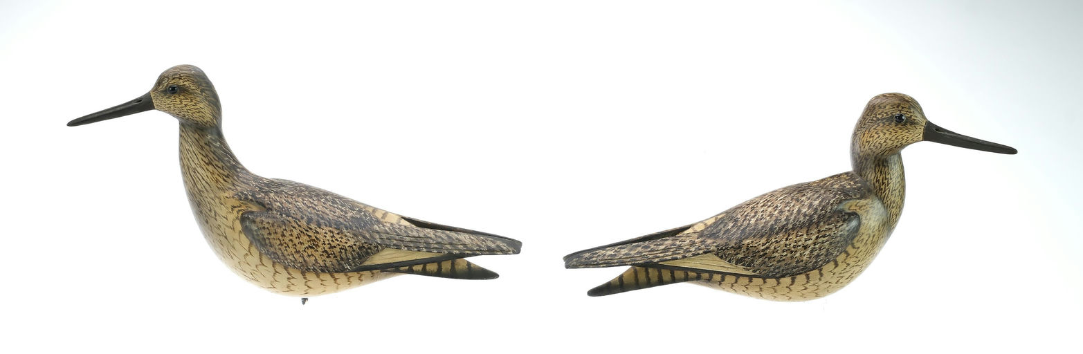 Bill Gibian – Pair of Willet – 2025